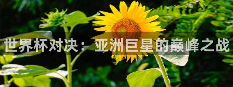世界杯2026赛程表：世界杯对决：亚洲巨星的巅峰之战