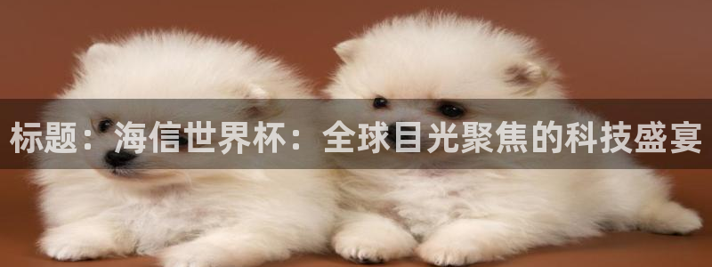 世界杯亚洲预选赛18强赛程：标题：海信世界杯：全球目光聚焦的科技盛宴