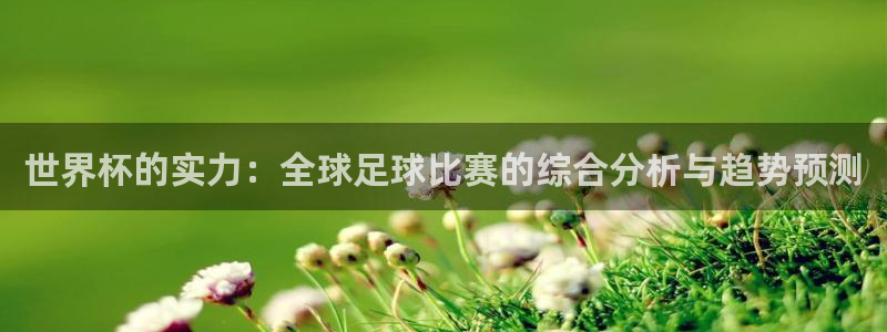 世界杯预选赛亚洲区赛程：世界杯的实力：全球足球比赛的综合分析与趋势预测