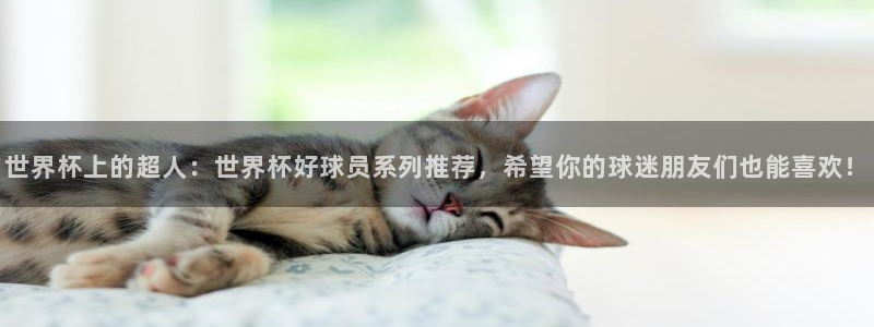 2026年世界杯赛程：世界杯上的超人：世界杯好球员系列推荐，希望你的球迷朋友们也能喜欢！