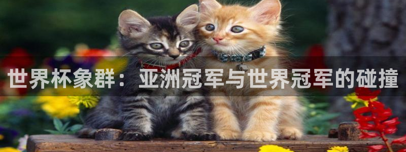 世界杯赛程2026：世界杯象群：亚洲冠军与世界冠军的碰撞