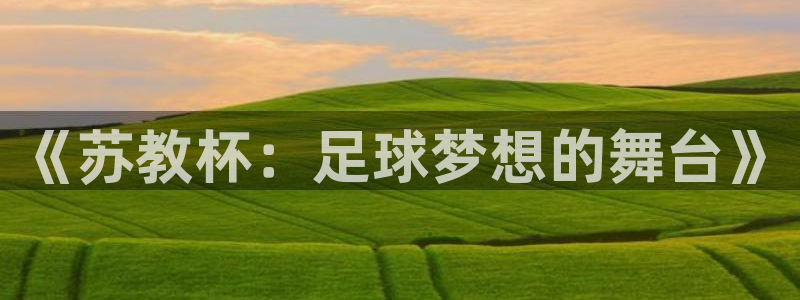 世界杯欧洲区预选赛赛程：《苏教杯：足球梦想的舞台》