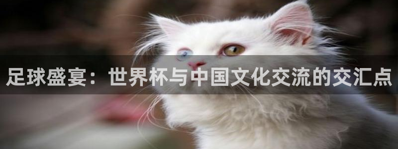世界杯欧洲区世预赛赛程：足球盛宴：世界杯与中国文化交流的交汇点