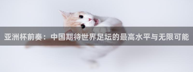 2026世界杯：亚洲杯前奏：中国期待世界足坛的最高水平与无限可能