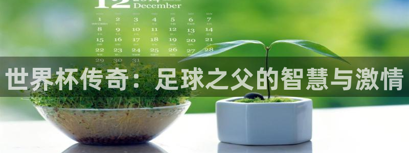 足球世界杯时间：世界杯传奇：足球之父的智慧与激情