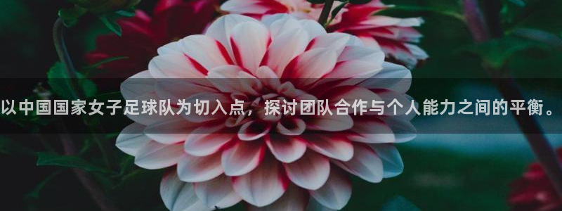 世界杯决赛直播：以中国国家女子足球队为切入点，探讨团队合作与个人能力之间的平衡。