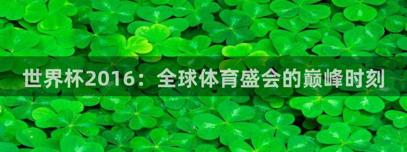 2006年世界杯：世界杯2016：全球体育盛会的巅峰时刻