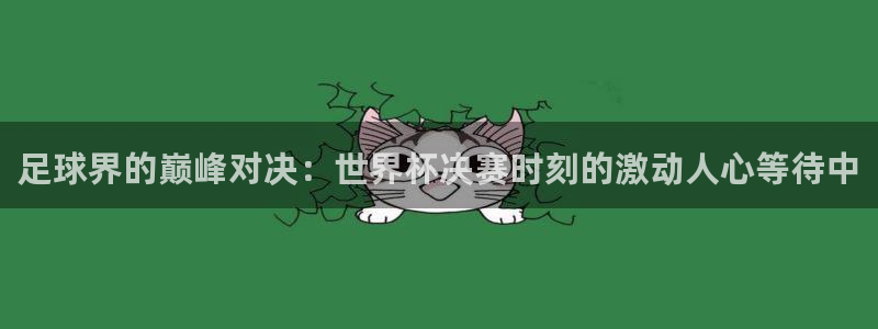 世界杯附加赛赛程表：足球界的巅峰对决：世界杯决赛时刻的激动人心等待中
