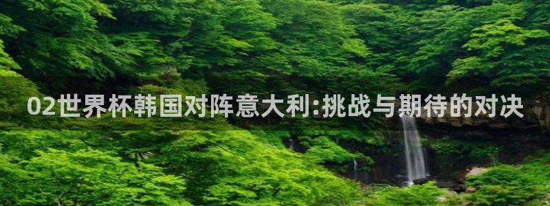 英足总杯直播：02世界杯韩国对阵意大利:挑战与期待的对决