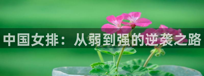 世界杯比赛时间：中国女排：从弱到强的逆袭之路