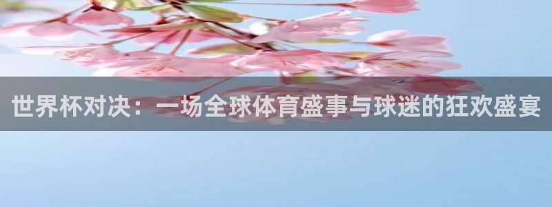 世界杯亚洲预选赛18强赛程：世界杯对决：一场全球体育盛事与球迷的狂欢盛宴